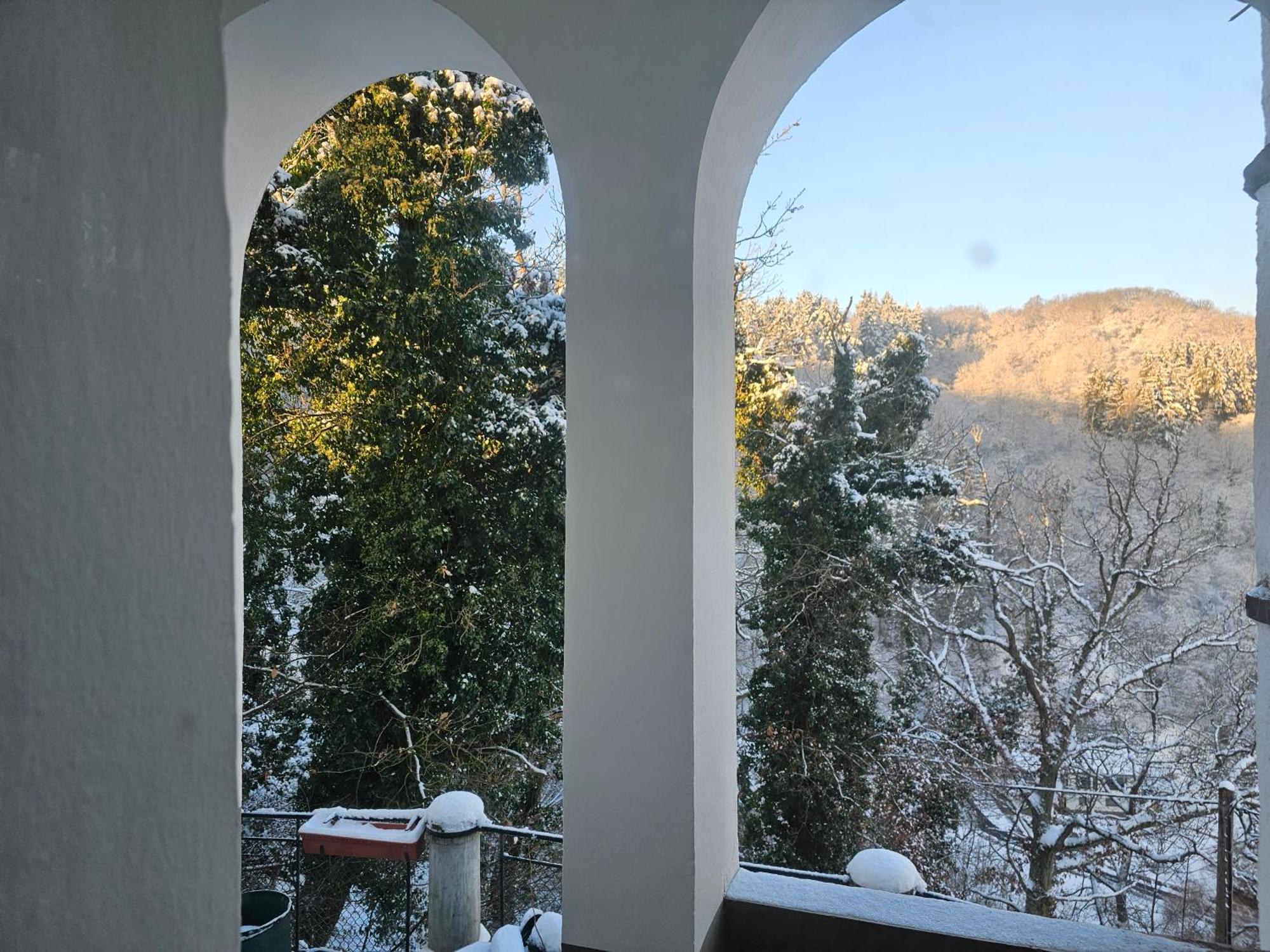 Little Rhineview Chateau Ug Boppard Exterior photo